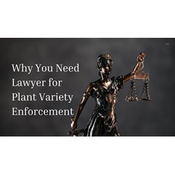 Why You Need a Lawyer for Plant Variety Enforcement