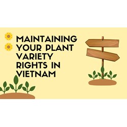 Maintaining Your Plant Variety Rights in Vietnam