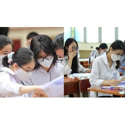 Thí sinh được hướng dẫn gì trong ngày làm thủ tục dự thi tốt nghiệp THPT?