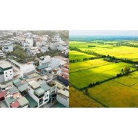 Đề xuất quy định cụ thể một số hành vi vi phạm hành chính lĩnh vực đất đai