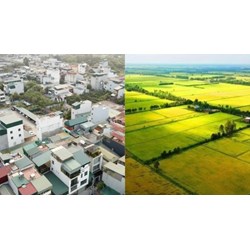 Đề xuất quy định cụ thể một số hành vi vi phạm hành chính lĩnh vực đất đai