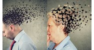 Bị bệnh mất trí Alzheimer được hưởng chế độ ốm đau trong bao lâu?