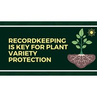 Why Recordkeeping is Key for Plant Variety Protection