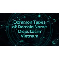 Common Types of Domain Name Disputes in Vietnam