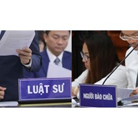 Không là luật sư có được làm người bảo vệ quyền và lợi ích hợp pháp của đương sự không?