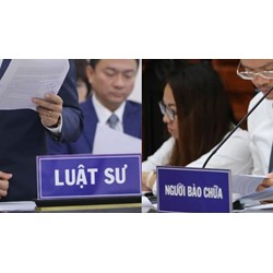 Không là luật sư có được làm người bảo vệ quyền và lợi ích hợp pháp của đương sự không?