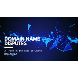 Domain Name Disputes: A Thorn in the Side of Online Reputation