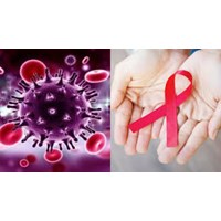 Người nhiễm HIV có những quyền, nghĩa vụ gì theo quy định?