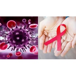 Người nhiễm HIV có những quyền, nghĩa vụ gì theo quy định?