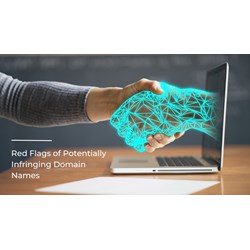 Red Flags of Potentially Infringing Domain Names