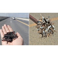 Mức phạt tiền người có hành vi rải đinh trên đường quốc lộ