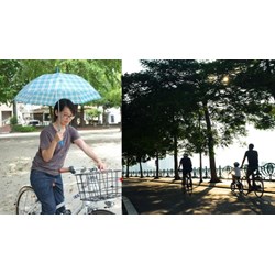 Có bị tịch thu xe khi vừa lái xe đạp vừa sử dụng ô dù hay không?