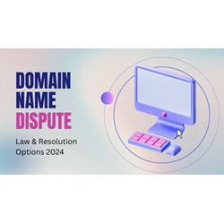 Vietnam Domain Name Disputes: Law & Resolution Options 2024