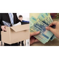Viên chức bị xử lý kỷ luật buộc thôi việc có được hưởng trợ cấp thôi việc?