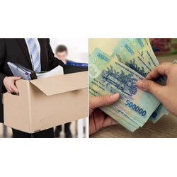 Viên chức bị xử lý kỷ luật buộc thôi việc có được hưởng trợ cấp thôi việc?