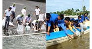 Trách nhiệm của tổ chức, cá nhân khi bảo vệ nguồn lợi thủy sản