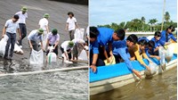 Trách nhiệm của tổ chức, cá nhân khi bảo vệ nguồn lợi thủy sản