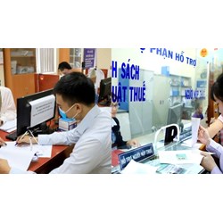 Đẩy nhanh cải cách thuế theo Chiến lược cải cách hệ thống thuế đến 2030