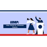 UDRP: A Non-Starter for .VN Domain Disputes