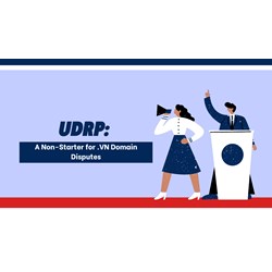UDRP: A Non-Starter for .VN Domain Disputes