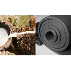 Xác định sự tác động của chất lỏng trong Cao su lưu hóa hoặc nhiệt dẻo