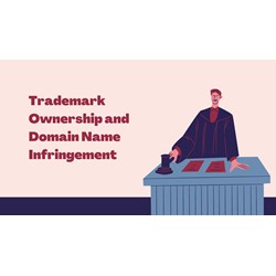 Evidence for Trademark Ownership and Domain Name Infringement