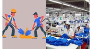Nội dung phương án chuẩn bị nguồn lao động có bao gồm những gì?