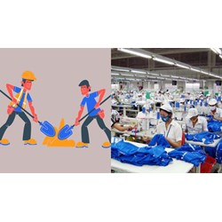 Nội dung phương án chuẩn bị nguồn lao động có bao gồm những gì?
