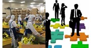 Quy định việc chuẩn bị nguồn lao động đối với doanh nghiệp dịch vụ