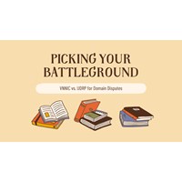 Picking Your Battleground: VNNIC vs. UDRP for Domain Disputes