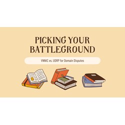 Picking Your Battleground: VNNIC vs. UDRP for Domain Disputes
