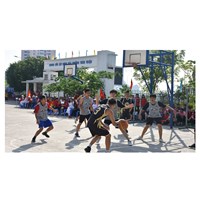 Môn Giáo dục thể chất có được đánh giá bằng điểm số hay không?