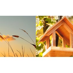 Phân tích khổ 1 bài Thơ duyên chọn lọc hay nhất