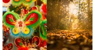 Dàn ý Phân tích bài thơ Đây mùa thu tới của Xuân Diệu siêu hay