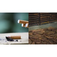 Thủ tục đăng ký thương hiệu cho sản phẩm thuốc lá tại Việt Nam