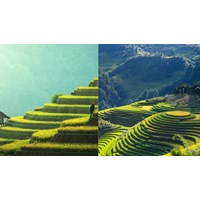 Phân tích khổ 7 bài thơ Việt Bắc của Tố Hữu chọn lọc hay nhất