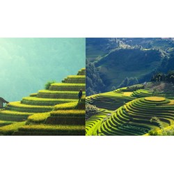 Phân tích khổ 7 bài thơ Việt Bắc của Tố Hữu chọn lọc hay nhất