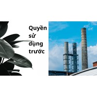 Người sử dụng trước đối tượng sở hữu công nghiệp có quyền gì?