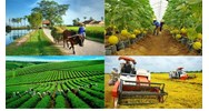 Hợp tác xã lập trước khi Luật Hợp tác xã 2023 có hiệu lực vẫn được hoạt động?