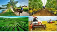Hợp tác xã lập trước khi Luật Hợp tác xã 2023 có hiệu lực vẫn được hoạt động?