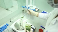 Viện Kiểm nghiệm An toàn vệ sinh thực phẩm Quốc gia có tư cách pháp nhân?