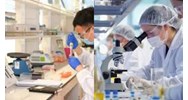 Cơ cấu tổ chức của Viện Kiểm nghiệm An toàn vệ sinh thực phẩm Quốc gia