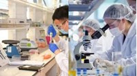 Cơ cấu tổ chức của Viện Kiểm nghiệm An toàn vệ sinh thực phẩm Quốc gia