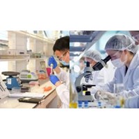 Cơ cấu tổ chức của Viện Kiểm nghiệm An toàn vệ sinh thực phẩm Quốc gia