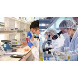 Cơ cấu tổ chức của Viện Kiểm nghiệm An toàn vệ sinh thực phẩm Quốc gia