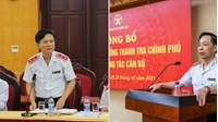 Thanh tra Chính phủ được xây dựng chính sách pháp luật về thanh tra không?