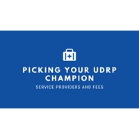 Picking Your UDRP Champion: Service Providers and Fees