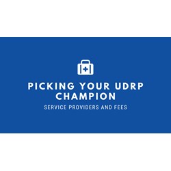 Picking Your UDRP Champion: Service Providers and Fees