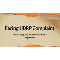Facing UDRP Complaint? How to Respond as a Domain Name Registrant