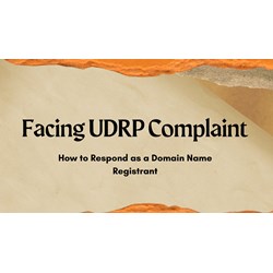 Facing UDRP Complaint? How to Respond as a Domain Name Registrant